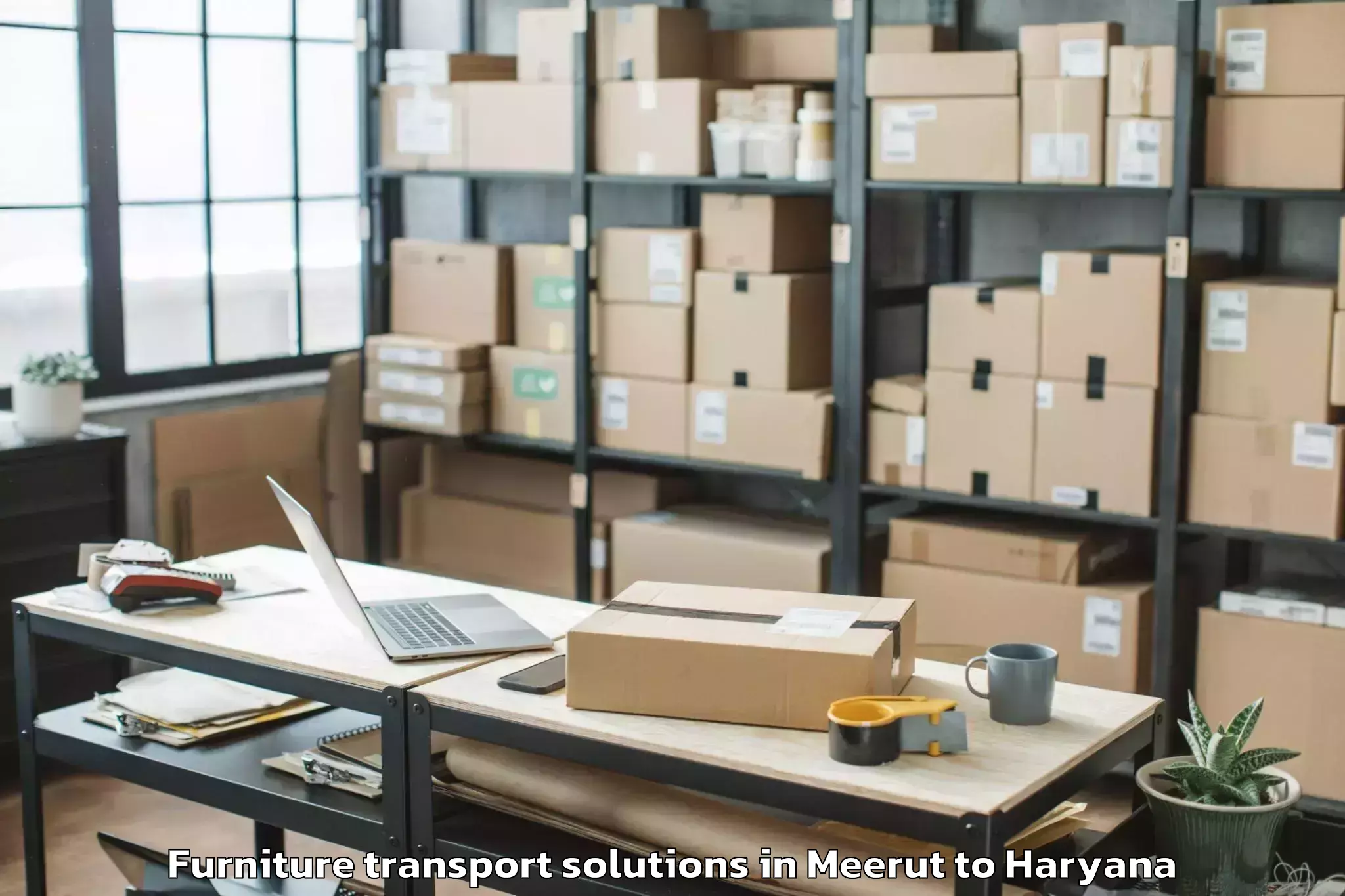 Book Meerut to Hansi Furniture Transport Solutions Online